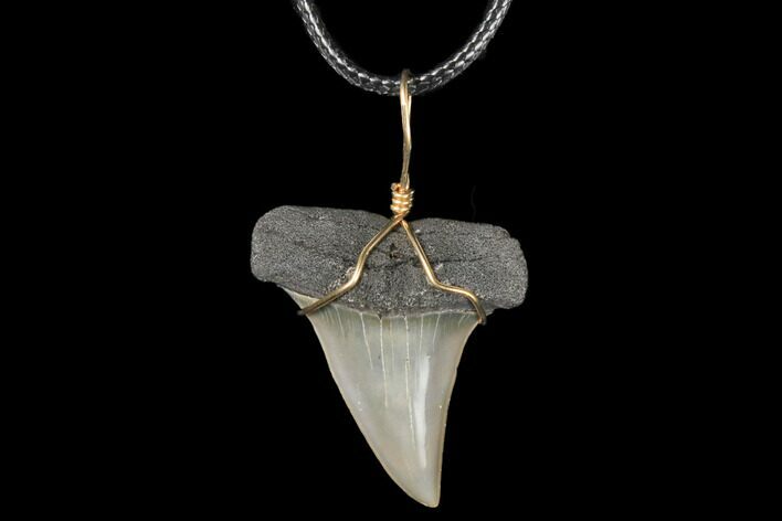 Wire Wrapped, Fossil Mako Tooth Necklace #130890